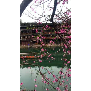 张家界213