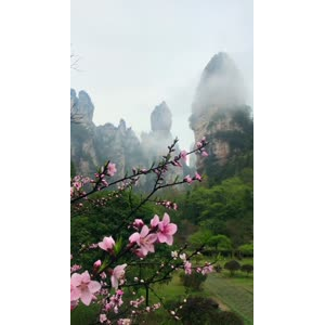 张家界222