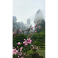 张家界222