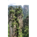 张家界224