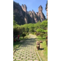 张家界226