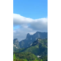 张家界238