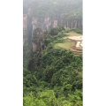 张家界246