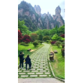 张家界247