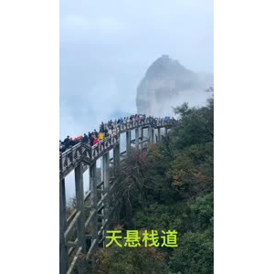 张家界250