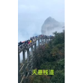 张家界250