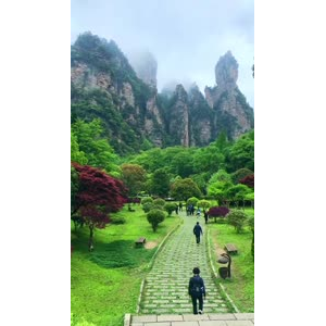 张家界260