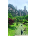 张家界260