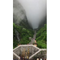 张家界263