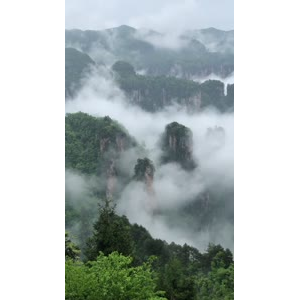 张家界265