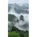 张家界265