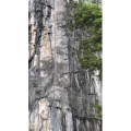 张家界267