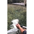 张家界268