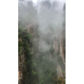 张家界274