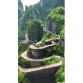 张家界275