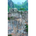张家界277