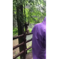 张家界281