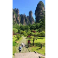 张家界286