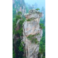 张家界289