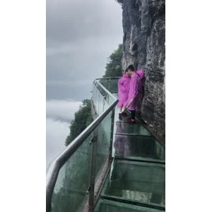 张家界290