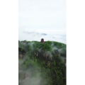 张家界292