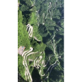 张家界293