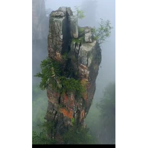 张家界296