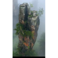 张家界296