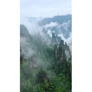 张家界299