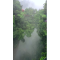 张家界303