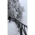 张家界305
