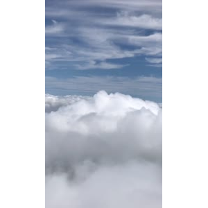 张家界306