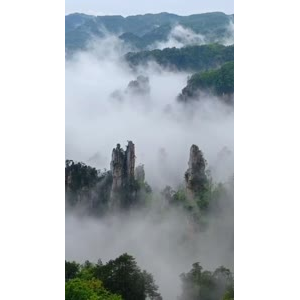 张家界307