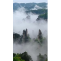 张家界307