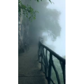 张家界308