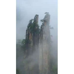 张家界311