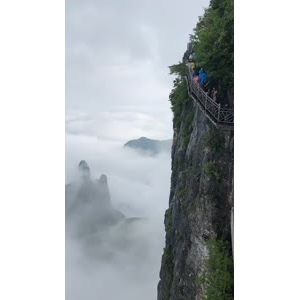 张家界312