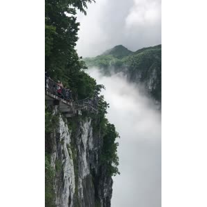 张家界316