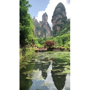 张家界323