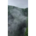 张家界335