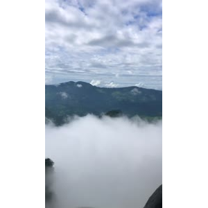 张家界342
