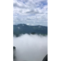 张家界342