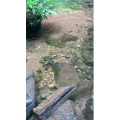 张家界344
