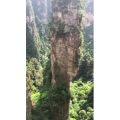 张家界346