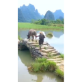 张家界349