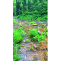 张家界356