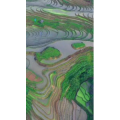 张家界362