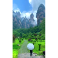 张家界363