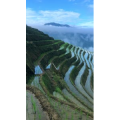 张家界370