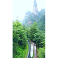 张家界373
